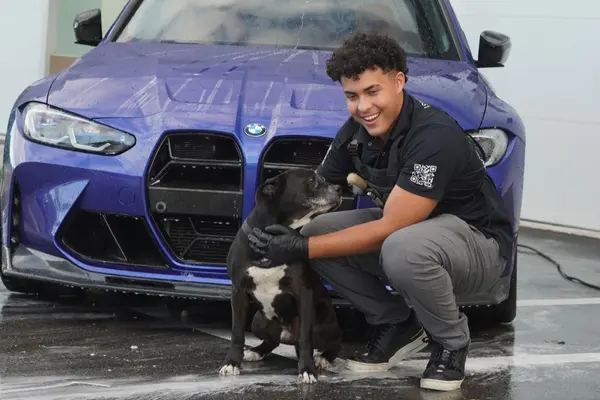 Tintelligent interior detailing SWFL